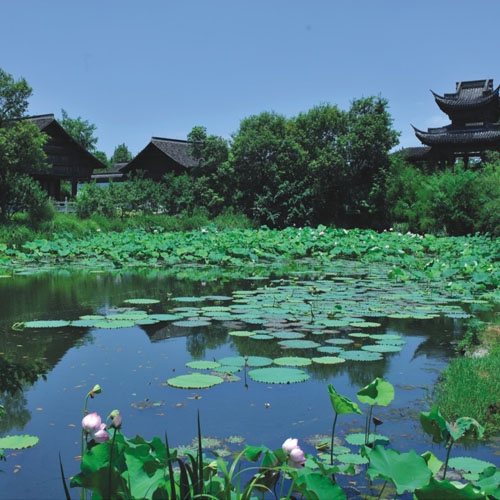 杭州西溪湿地综合保护二期工程